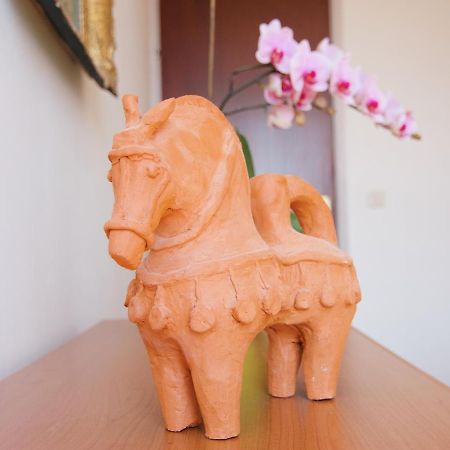 Apartment Todorovic - Macan Póla Kültér fotó