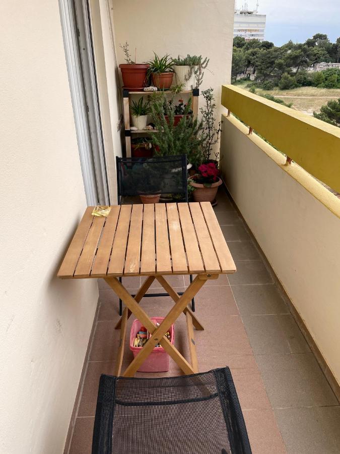 Apartment Todorovic - Macan Póla Kültér fotó